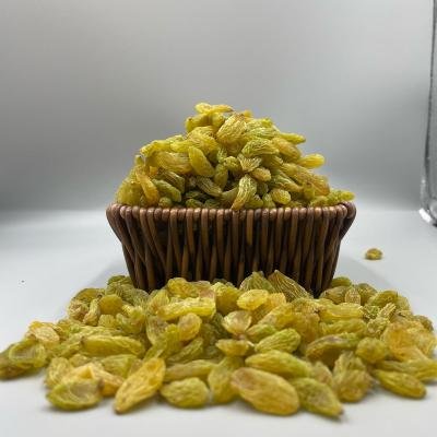 Raisins (Green)